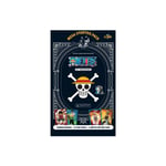 One Piece TC 25th Anniversary Starter Panini Trading Cards