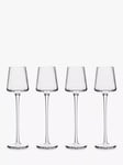 Anton Studio Designs Empire Liqueur Glass, Set of 4, 60ml, Clear