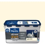 Peinture Extrême façade - Meulière mat - RIPOLIN - 2,5 L