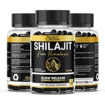 2 Months Supply | Shilajit Capsules with Ashwagandha Advanced Granular Biotechnology | 70% Fulvic Acid | Slow Release Maximum Absorption | Mineral Food Supplement