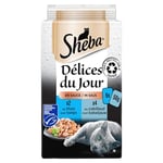 Sheba Délices du jour Sachets Fraîcheur pour Chat Adulte, Sélection aux Poissons en Sauce 6x50g - Pack de 12