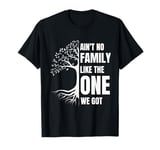 Ain't No Family Like The One We Got Family Reunion T-Shirt