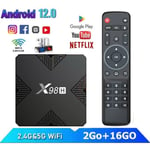 Boîtier iptv Android 12.0 Smart TV Box iptv Box 2Go+16Go Allwinner H618 BT5.0 WiFi HD 4K/3D/H.265 10/100M Netflix Media Player