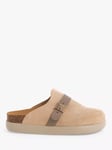 Scholl Ivy Buckle Suede Clogs, Camel