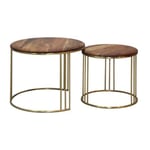 RANDY - Lot de 2 Tables Gigogne Plateau en Acacia Massif Piètement Acier Doré