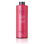 LENDAN Shampooing pour cheveux colorés – Shampooing Color Addict – 1 000 ml – Empêche la dégradation de la couleur des cheveux colorés – Scelle, protège et régénère la cuticule – Crinière brillante et