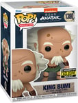 Figurine Funko Pop - Avatar: Le Dernier Maître De L'air N°1380 - Roi Bumi (73692)