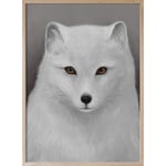Kunskapstavlan®-Mountain Fox Plakat, 30x40 cm