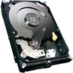 BarraCuda 1TB - 7200rpm - 64MB Cache