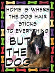 SHAWPRINT Belgian Sheep Dog Fridge Magnet 100mm x 75mm HOME IS WHERE THE DOG HAIR STICKS TO EVERYTHING BUT THE DOG Novelty Gift