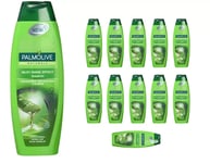 Palmolive Naturals Silky Shine Effect Aloe Vera Shampoo 350ml - Pack of 12