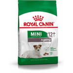 Foder Royal Canin Mini Ageing 12+ Vuxen Senior Fåglar 3,5 g