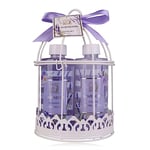 Accentra - set de douche femme coffret cadeau LAVENDER dans un magnifique panier en fil métallique, set de soins 4 pièces avec gel douche, lotion pour le corps, bain moussant et bien plus encore.