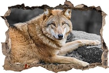 pixxp Rint 3D WD s4861 _ 62 x 42 Wundervoller Loup avec Fourrure Marron percée 3D Sticker Mural Mural en Vinyle Noir/Blanc 62 x 42 x 0,02 cm