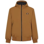 Manteau Dickies  New Sarpy Jacket - Brown