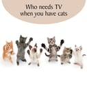 Funny Cat Birthday Card Cat Lovers Humorous Cats TV Lover Greetings Card Blank