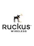 Ruckus Wireless Ruckus License to upgrade ICX 7150 Z-Series model from 6x1 GbE SFP and 2x10 GbE SFP+ to 8x10 GbE SFP+ stacking/ uplink-ports (max 4 for stacking)