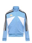 J Np Ttop Blue Adidas Sportswear