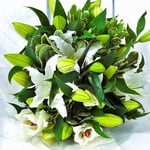 Homeland Florists Flowers Delivery Next Day Prime, White Oriental Lily Bouquet 