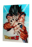 Dragon Ball - Impression en Verre - Goku Kame - 30 x 40 cm