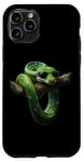 Coque pour iPhone 11 Pro Amoureux Drôles De Python D'arbre Vert, Serpents, Reptiles