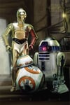 Affiche Droïdes BB-8 C-3PO R2-D2 61X91 CM (PP33653) - STAR WARS