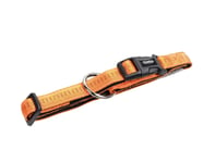 Nobby 78510-04, Hund, Vanligt Halsband, Orange, Nylon, Xs-S, 15 Mm