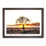 Big Box Art Sunlight Through The Oak Tree in Abstract Framed Wall Art Picture Print Ready to Hang, Walnut A2 (62 x 45 cm)