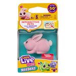 Little Live Pets NeeDees Bunny