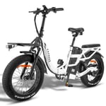 Fafrees F20 X-MAX hopfällbar elcykel 20 tum, 750W motor, 48 V 30 Ah Samsung batteri, 4.0 feta däck lastkapacitet 150 kg