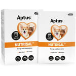 Aptus Nutrisal Vätskeersättning djur 250 g