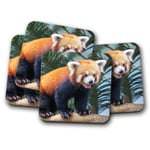 4 Set - Endangered Red Panda Coaster - Firefox Cute Wild Animal Cool Gift #15146