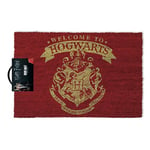 Harry Potter Welcome to Hogwarts Unisexe Paillasson Multicolore polychlorure de Vinyle