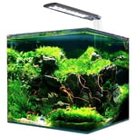 Amtra Nanotank, Aquarium en Verre Equipé LED et Pompe, 30L, Dimensions 30 x 30 x 35 cm