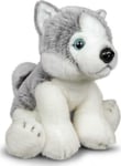 Animigos Plush Toy Husky, 23Cm, 37238