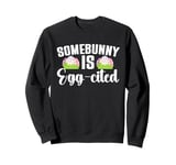 Easter Egg-Cited Pun, Somebunny Funny Easter Eggs Sweatshirt