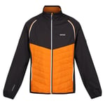 Regatta Miesten Steren Hybrid Soft Shell takki, Appelsiini-pippuri/tuhka UTRG9163_orangepepperash