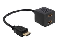 Delock Adapter HDMI High Speed with Ethernet - Répartiteur vidéo/audio - 2 x HDMI - de bureau