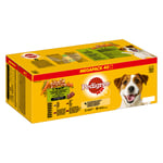 Pedigree Adult Pouch Multipack - 4 sorter i sås 40 x 100 g