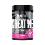 Creatine Monohydrate Powder 500g - Warrior Supplements - Blazin' Berry