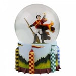 Wizarding World of Harry Potter Harry Potter Quidditch Waterball 6007111