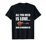 All You Need Is Love And A Mandolin Funny T-Shirt T-Shirt