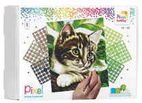 Pixel P090048 Emballage Cadeau mosaïque Chat pour Enfants, Image pixelisée env. 30,5 x 38,1 cm, système d'assemblage Simple avec tesselles en bioplastique, sans Repassage ni Collage