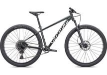 Specialized Specialized Rockhopper Expert 29 | Gloss Oak Green Metallic / Metallic White Silver