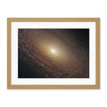 Artery8 Hubble Space Telescope Image Spiral Galaxy NGC 2841 Blue Pink Emission Nebula Starbirth Region And A Majestic Disk Of Stars And Dust Lanes Artwork Framed Wall Art Print 18X24 Inch