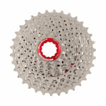 Cassette Route 12V 11-36 Dents Aluminium Argent Compatible SHIMANO Hyperglide -