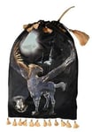 Harry Potter - Sac hotte de Noël Buckbeak - Widdop & Co