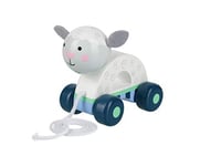 Sheep Pull Along Toy - Animal Push and Pull Along Toys for 1 Year Olds, Toddler, Walker Wooden Toys - 1st Birthday Gifts for Baby Boys and Girls - Early Development & Activity Toys by Orange Tree Toys