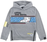 Beauty and the Beast Kids - Belle Hoodie Sweater grey