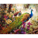 YIYYI DIY Painting By Numbers Peacock Animals Picture Handpainted Oil Painting Drawing On Canvas Home Decor 40X50Cm Frame